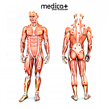 Перкусійний ручний масажер для тіла та м'язів Medica+ MassHand Pro 5.0 (Японія), фото 8