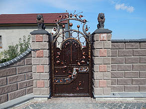 Комір ковані Дрезден, фото 3