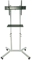 Презентаційна стійка для телевізора Sector T10 Gray похила (37 70)