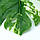 Штучне листя Engard Monstera Alba, 73 см (TW-54), фото 5