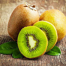 Ківі самозапилюваний Хейворд 2 роки, горщик