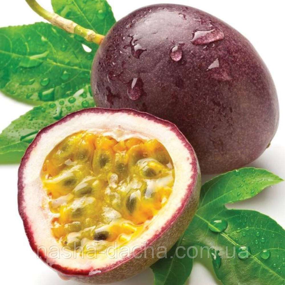 Маракуя (горщик 0,5л)