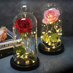 Вічна троянда в скляній колбі з LED-підсвіткою 20 см від батарейок в асортименті Dt