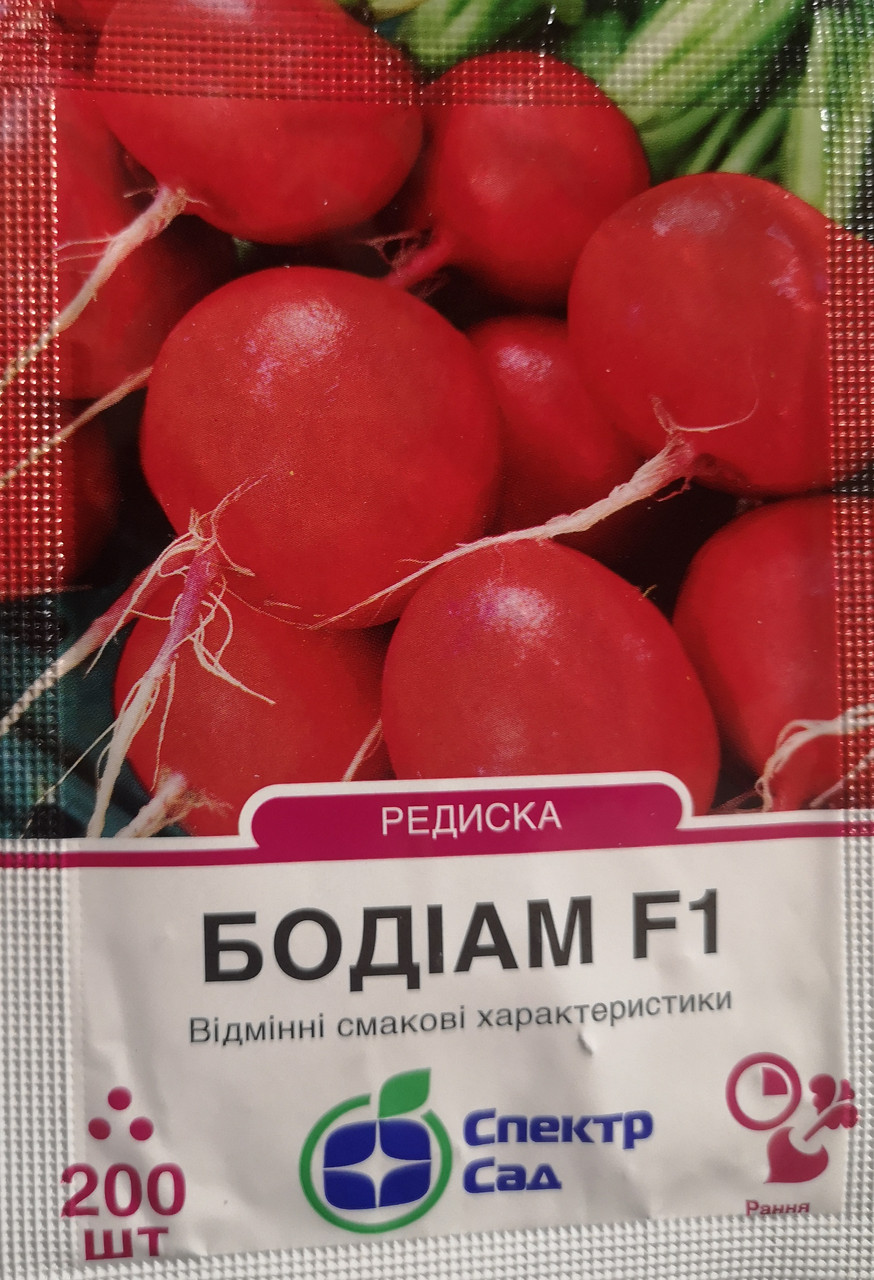 Редиска Бодіам F1 200шт