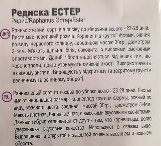 Редакція Есстер 2 г, фото 3
