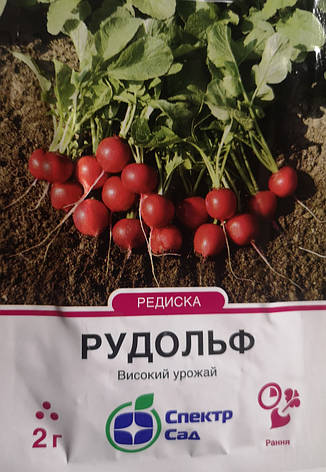 Редиска Рудольф 2 г, фото 1