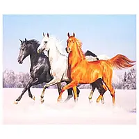 Алмазна мозаїка без підрамника картина стразами 30х40 см DIY Трійка коней 1464-3