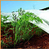 Агроволокно Shadow 17 г/м2 1,6х100м, Покривний матеріал білий спанбонд для городу, парників, винограду, троянд, к, фото 5