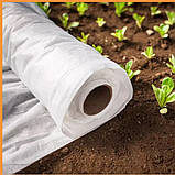 Агроволокно Shadow 17 г/м2 1,6х100м, Покривний матеріал білий спанбонд для городу, парників, винограду, троянд, к, фото 4