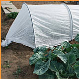 Агроволокно Shadow біле 42 г/м2 1.6х10 м, пакетоване: на метраж для городу, теплиць, посадки полуниці, за, фото 7