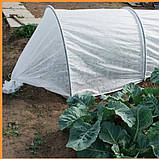 Агроволокно белое "Shadow" 60 г/м² 3,2x100м для укриття парників, теплиць, газонів, винограду, клубники, грядо, фото 6