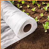 Агроволокно белое "Shadow" 60 г/м² 3,2x100м для укриття парників, теплиць, газонів, винограду, клубники, грядо, фото 4