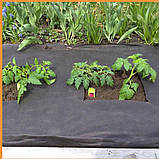 Чорне агроволокно "Shadow" 50 г/м2, 1.6x100 м, Спанбонд Чохія, у рулонах, мульчувальне проти бур'янів, для, фото 5