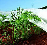 Спанбонд 23 г/м² 2.1 х 100м "Shadow" - біле агроволокно для ландшафтного дизайну, укриття рослин та парників, фото 8