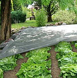 Агроволокно біле Shadow 30 г/м2, 4.2х100м: покривне спанбонд для огірків, полуниці, дерев, винограду, троянд., фото 5