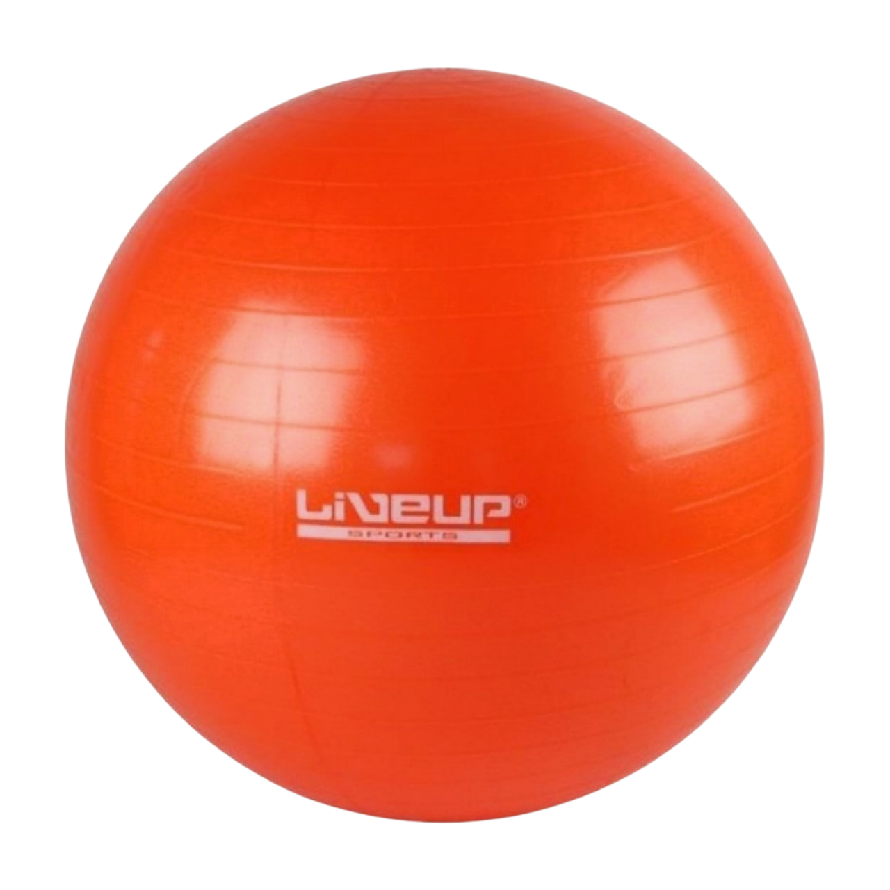 Фітбол LiveUp GYM BALL, фото 1