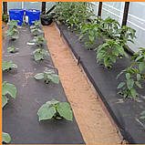 Чорне агроволокно "Shadow" 50 г/м2, 1.6x100 м, Спанбонд Чохія, у рулонах, мульчувальне проти бур'янів, для, фото 7