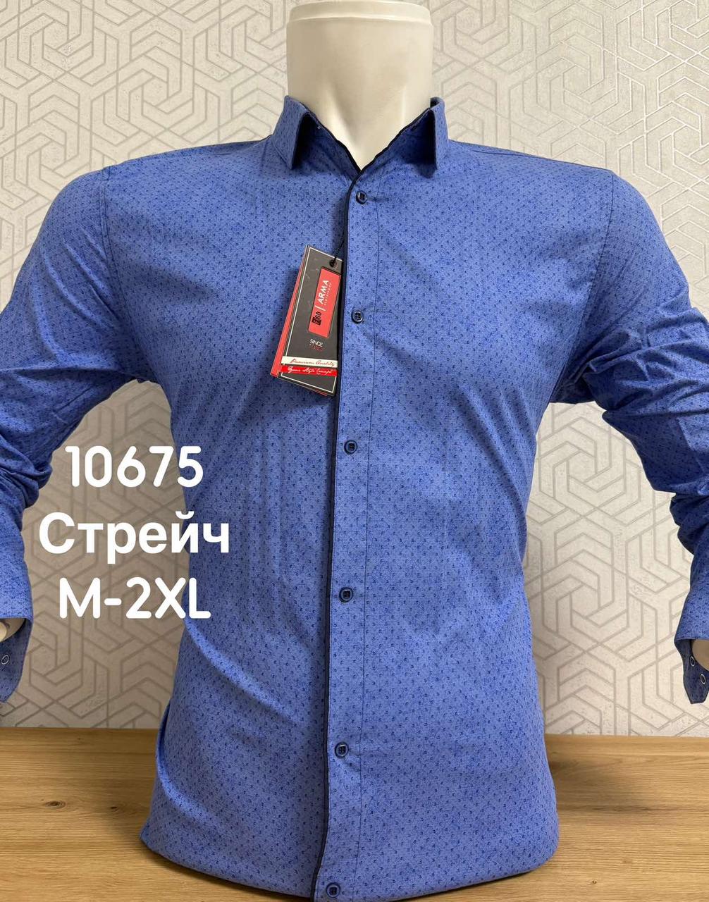 Акційна стрейчева сорочка ARMA з довгим рукавом та принтом