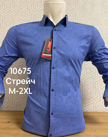 Акційна стрейчева сорочка ARMA з довгим рукавом та принтом, фото 1