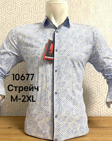 Акційна стрейчева сорочка ARMA з довгим рукавом та принтом, фото 1
