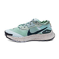 Блакитні текстильні жіночі кросівки Nike Pegasus Trail 3 Gore-Tex Найк Пегасус Гортекс
