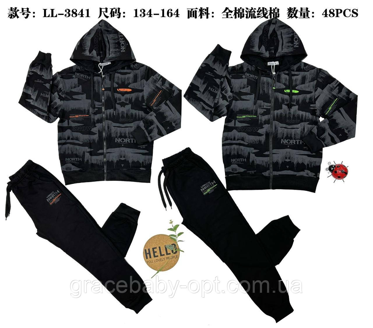 Спортивний костюм 2 в 1 для хлопчика, Sincere, 134-164 см,  № LL-3838, фото 1