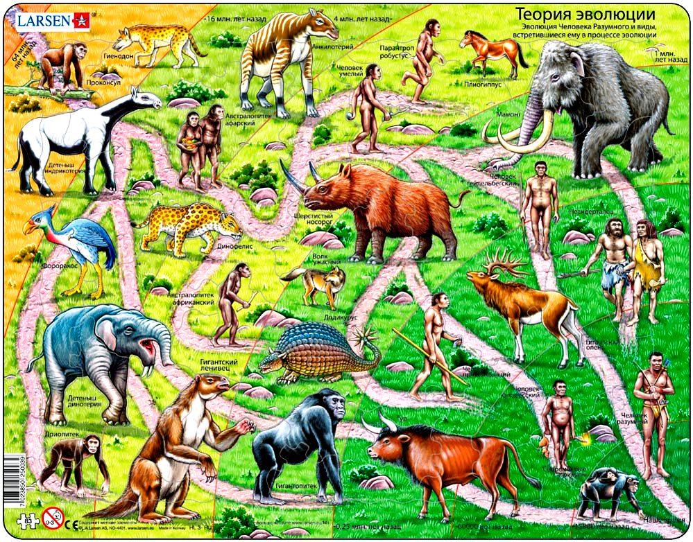 Пазл Larsen рамка-вкладиш для малюків Теорія еволюції (HL3)