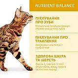 Повнораціонний сухий корм Optimeal для дорослих котів - курка 4 кг, фото 8