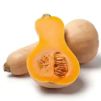 Гарбуз Матільда F1, EZ 500 шт