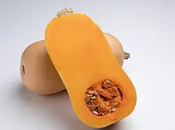 Гарбуз Тіана F1, EZ 500 шт