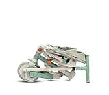 Дитячий триколісний велосипед Caretero (Toyz) Faro Green, фото 8