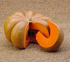 Гарбуз Мускат де Прованс  СL, 100 г