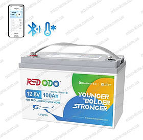 LiFePO4 акумулятор з Bluetooth Redodo,12В 100Ач, BMS 100А літій залізо фосфатний АКБ батарея США