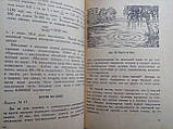Перельман Я.І. Цікава геометрія. (б/у)., фото 6