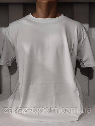 Футболка чоловіча батал оптом (2XL-6XL) Туреччина-131417, фото 1