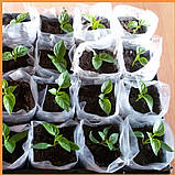 Рукав для рассади 80х500м, 40 мкм, білий, пакети для розсади: поліетиленовий, пленочний, посадочний, садо, фото 6