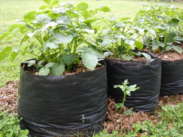 Рукав для рассады полиэтиленовый