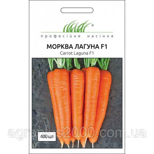 Насіння Морква Лагуна F1, 400 насіння Nunhems