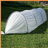 Парник 12 м, 42 щільність з агроволокна Агролідер: розбірна теплиця для дачі, городу та розсади, фото 6