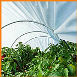 Парник 15 м з агроволокна Агро-Лідер, розбірна теплиця для дачі, парник для огорода та розсади в Україні, фото 8