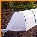 Теплиця 6 м "Агро-Лідер" з агроволокна, розбірна дугова, парник для розсади та огорода, парники для дачі Украї, фото 8