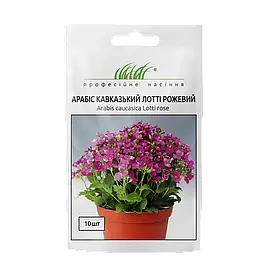 Арабіс кавказький Лотті 10шт (Проф.Нас)