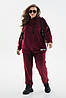 Р-ри 46-68 Жіночий велюровий спортивний костюм, фото 2