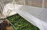 Готове агроволокно 10м 50 г/м² для парника: полотно для накриття, агрополотно, матеріал для теплиць, shadow, фото 6