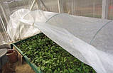 Полотно 12 м 50 г/м² агроволокно прошитое для парника, матеріал для накриття теплиць, агрополотно для теплиць, фото 6
