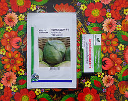 Насіння капусти Тореадор F1 (Syngenta), 100 насінин — середньостиглий гібрид (80-85 днів), білокачанний