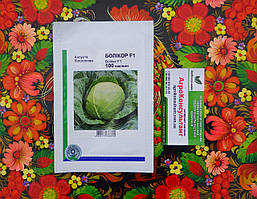 Насіння капусти Болікор F1 (Syngenta), 100 насінин — ранній гібрид (55-60 дні), білокачанна, Акіра