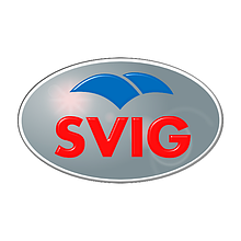 SVIG (ІТАЛІЯ) — НАБІЙКИ ПІДМЕНТКИ ЛІСТИ