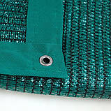 Затінювальна сітка 80% ТМ «Shadow» 3 м*4 м із люверсами для рослин, навісу та дачі, захист від сонця, зелена, фото 2