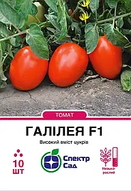 Томат Галілея F1, 10 шт Спектр сад / Hazera